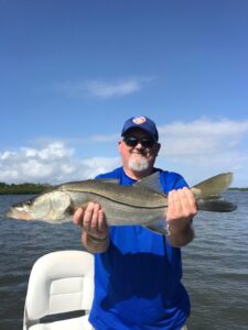 Inshore Fishing Snook caught with Bad Juju Charters
