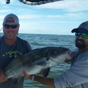 Daytona Beach Inshore Fishing Black Drum