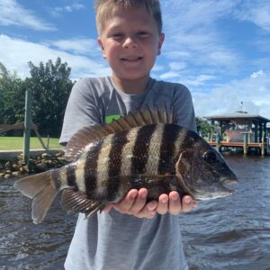 New Smyrna Beach Inshore Fishing Sheepshead