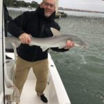 Ormond Beach Inshore Fishing Shark