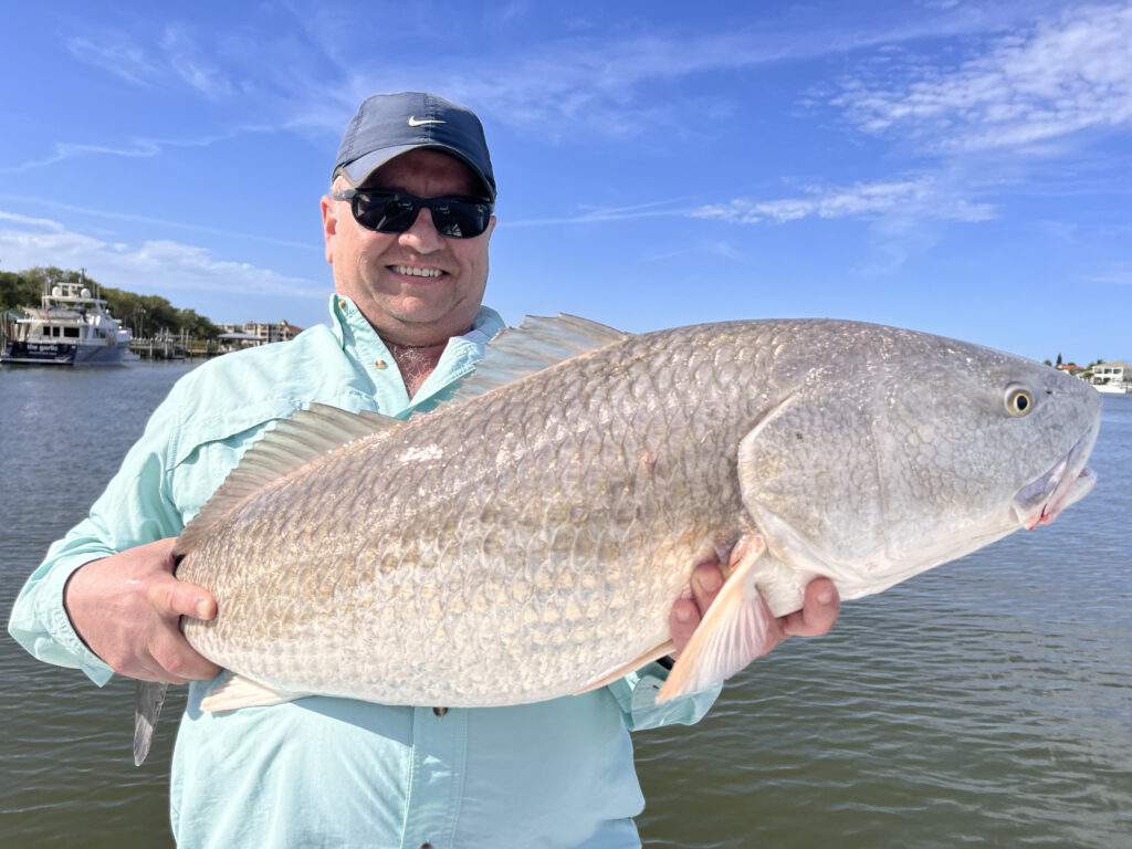 Ponce Inlet Inshore Fishing Charter Redfish