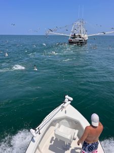 Offshore Fishing Charter following shrimp boat